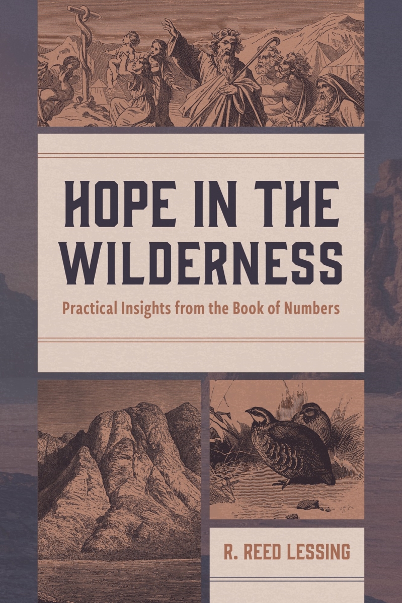 479689 Hope in The Wilderness Book