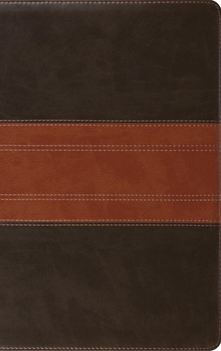 581268 ESV Large Print Personal Size Bible with Forest & Tan Trail Design TruTone
