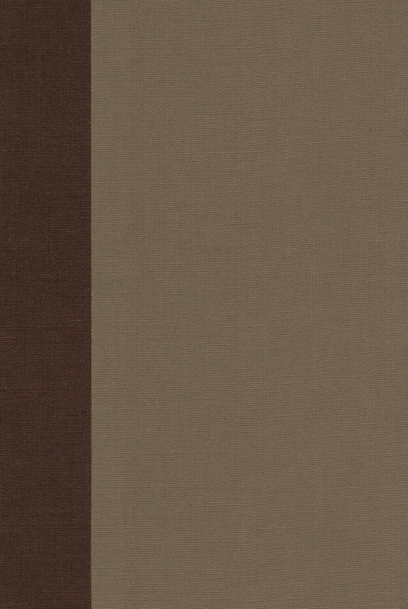 348393 ESV Readers Bible - Timeless Design Cloth Over Board