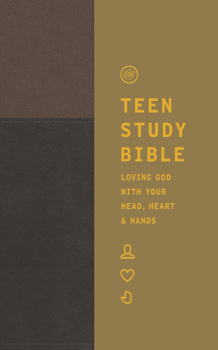471162 ESV Teen Study Bible - Slate & Umber TruTone