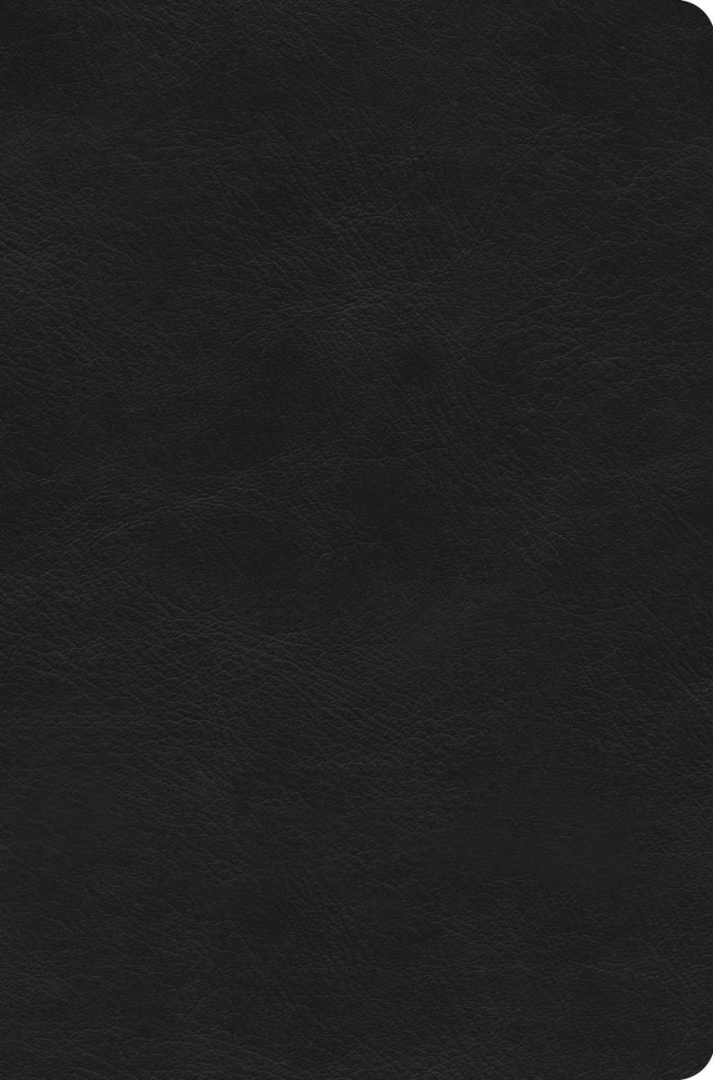 47117X ESV Value Compact Bible - Black Trutone