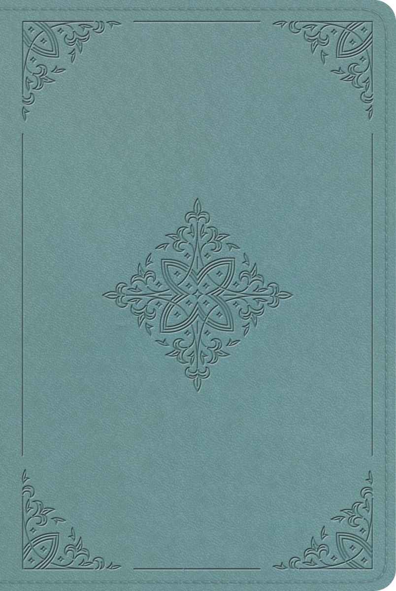 473846 ESV Single Column Heritage Bible - Paris Sky Fleur-de-lis Design Trutone