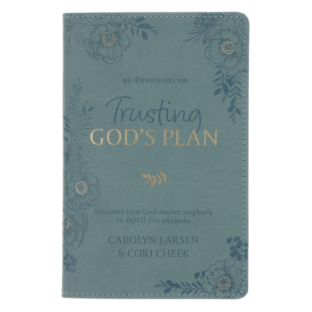 380287 Devotional - Trusting Gods Plan