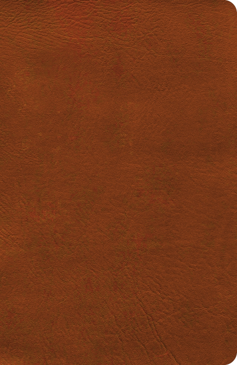 650655 NASB 2020 Verse-by-Verse Reference Bible with Burnt Sienna Leather Touch
