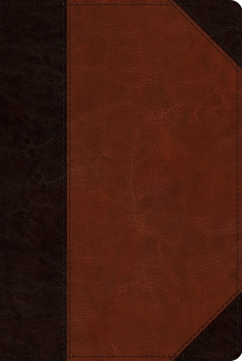 348394 ESV Readers Bible - Brown & Cordovan Portfolio Design Trutone