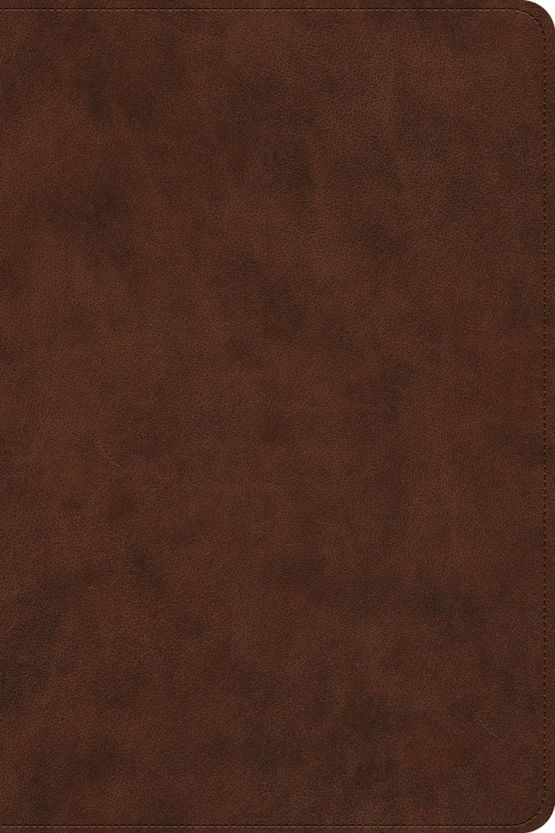 379651 ESV Holy Bible - Dyslexia - Friendly Edition - Brown TruTone