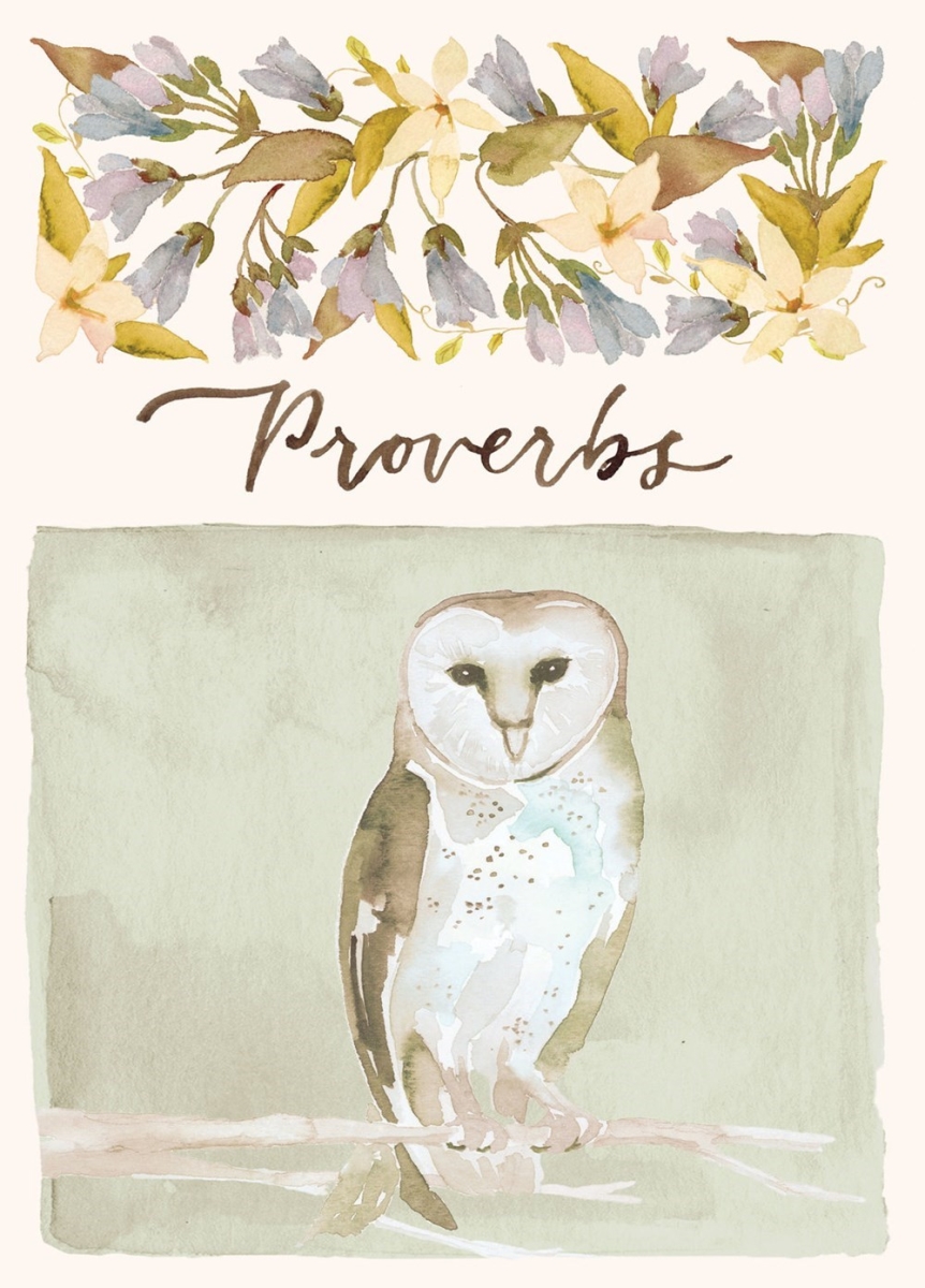 686193 ESV Scripture Journal Proverbs Artwork by Ruth Chou Simons Biblical Study Paperback Book