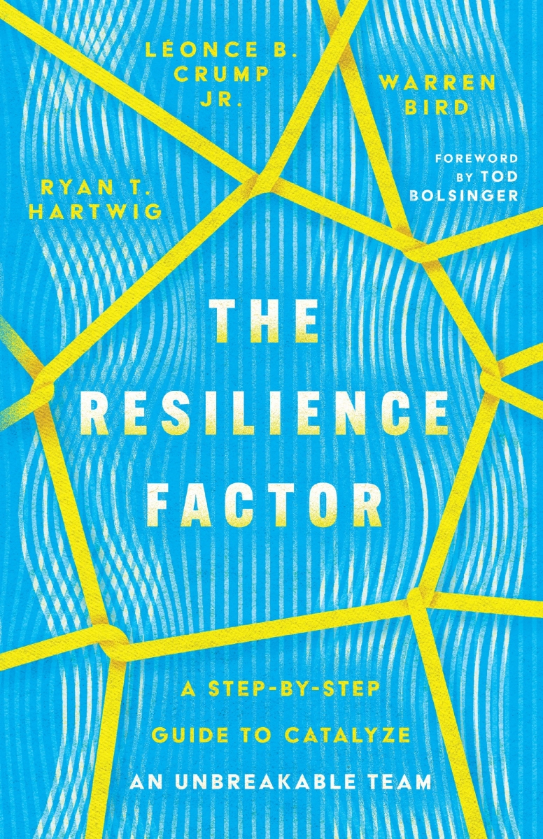 30717X The Resilience Factor Book