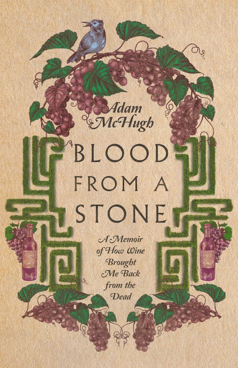 222314 Blood From A Stone Book