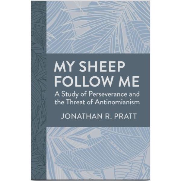 687584 My Sheep Follow Me Book