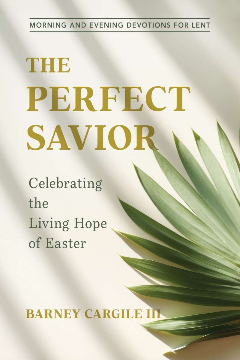 374905 The Perfect Savior Book