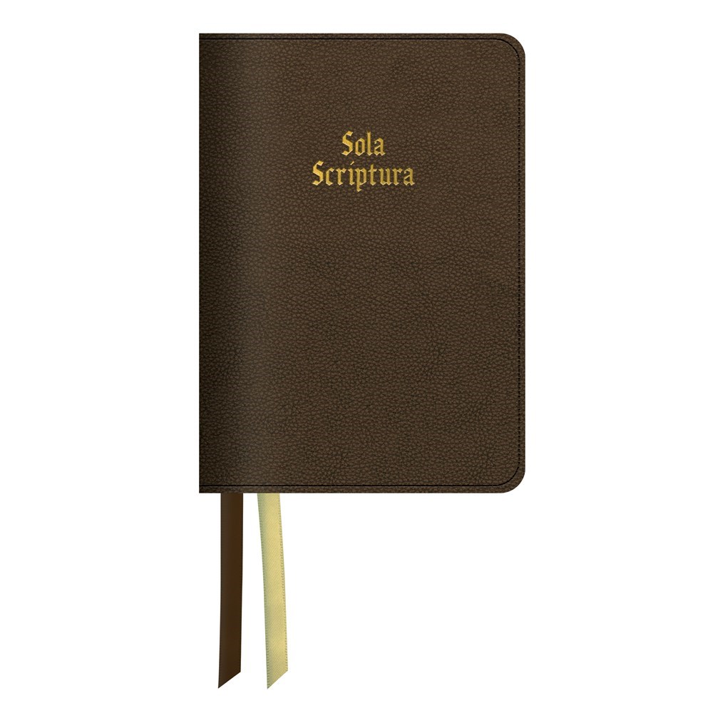 Steadfast Bibles 342575 LSB Legacy Standard Portable Paragraph Reference Bible - RL - Brown Sola Scri