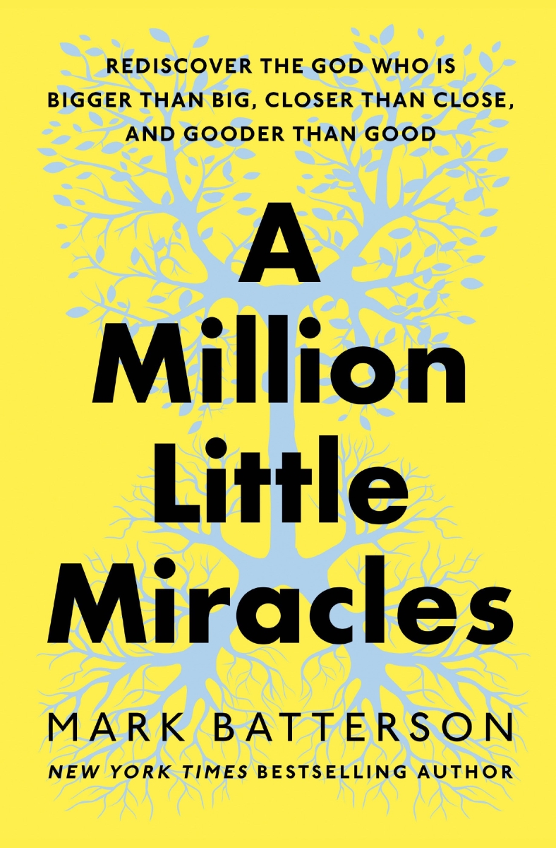 366757 A Million Little Miracles Book