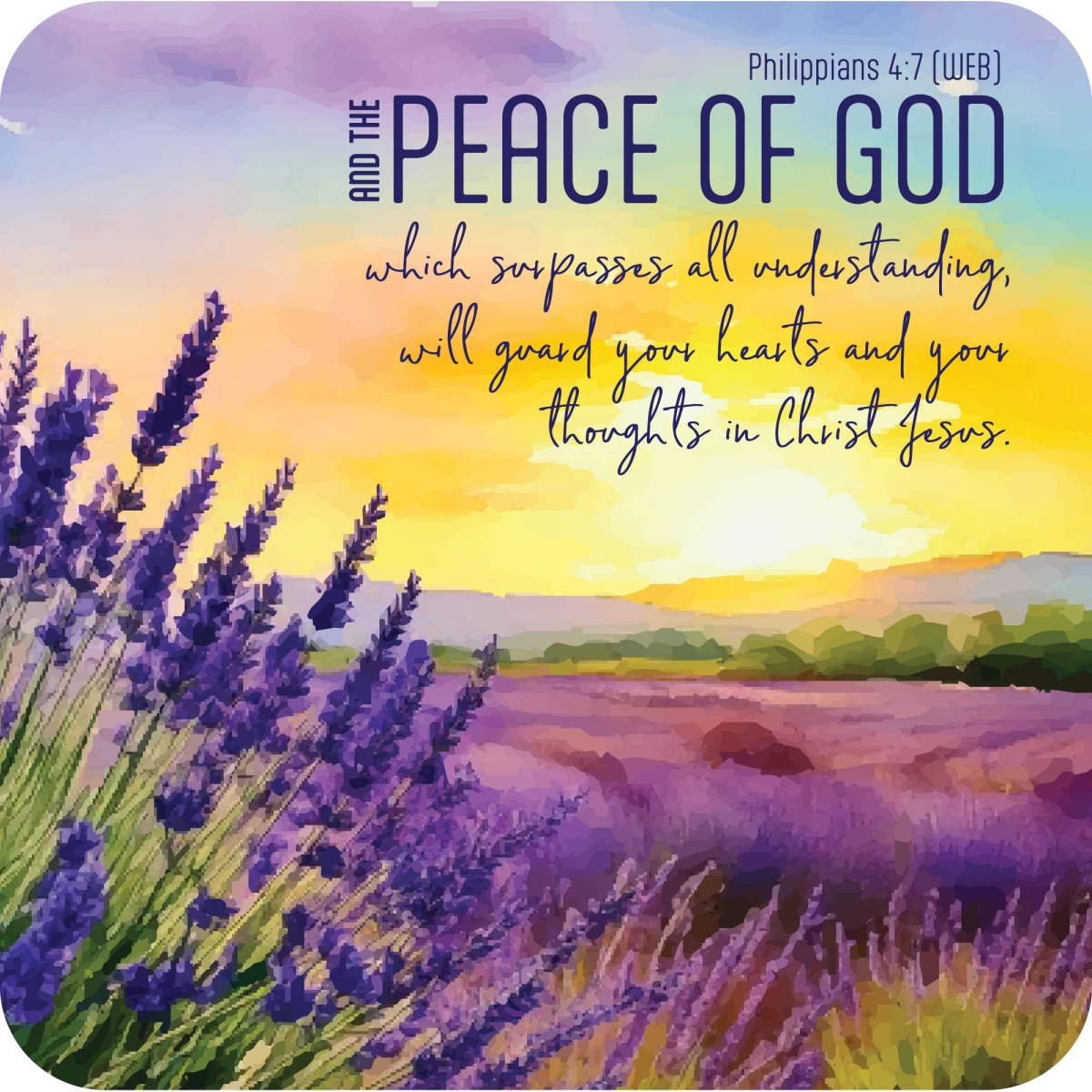 571440 Coaster - Peace - Pack of 6