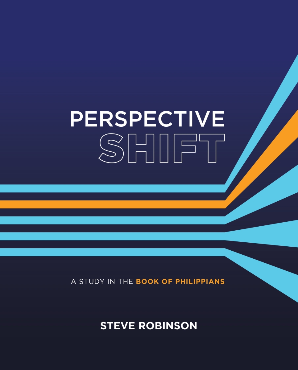382289 Perspective Shift Book