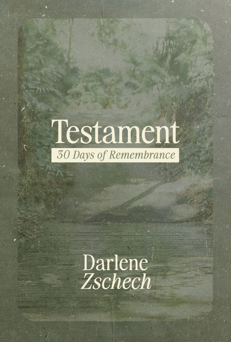 David C. Cook 356126 Testament Book - Hardcover