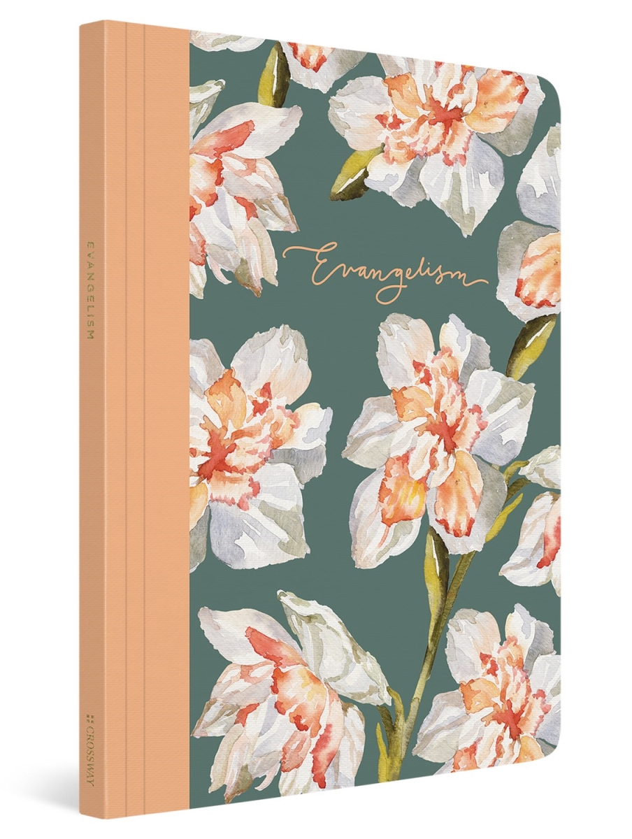 311578 ESV Prayer Journal - 30 Days On Evangelism - Softcover