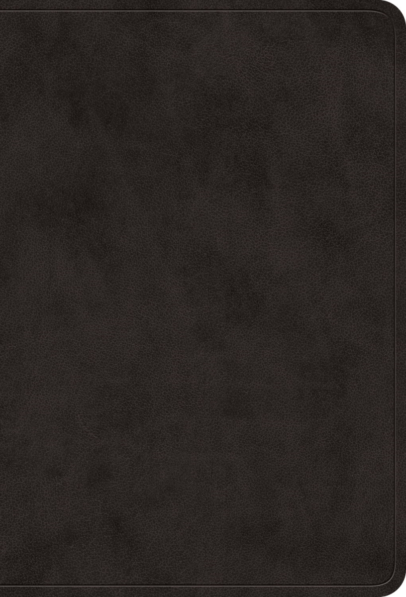 471191 ESV Value Large Print Compact Bible - Black Trutone