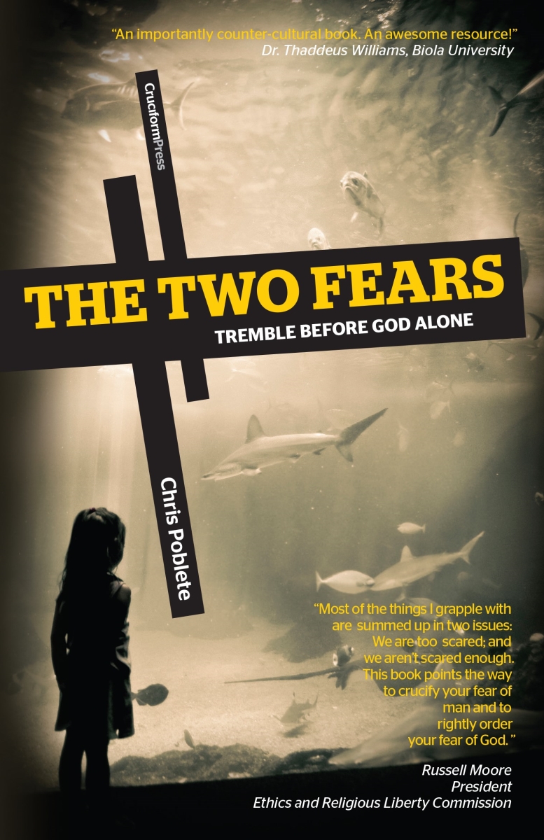 254478 The Two Fears Book