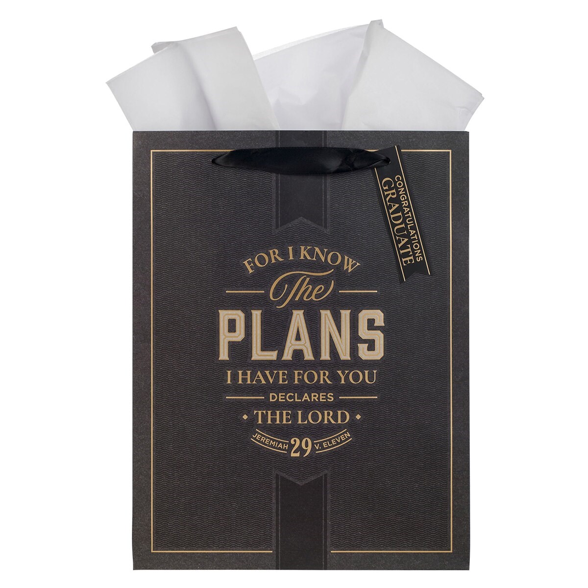 470724 Gift Bag - Large Portrait - I Know the Plans Jer. 29-11