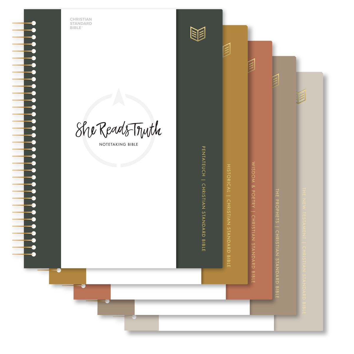 455028 CSB She Reads Truth Spiral Bound Notetaking Bible - Five Volume Set Spiral Bound