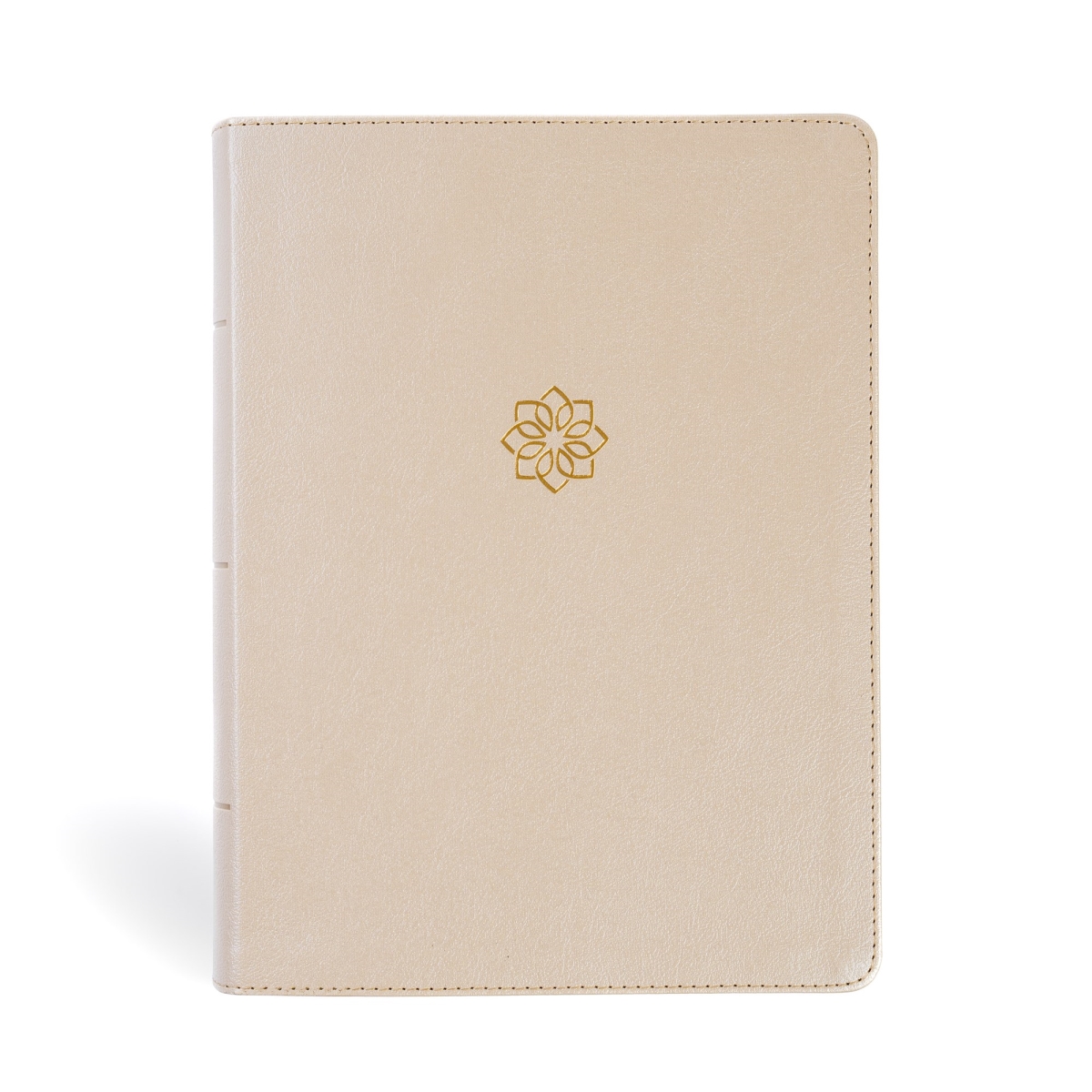 479131 CSB Study Bible & Large Print Digital Study Edition - Gold LeatherTouch
