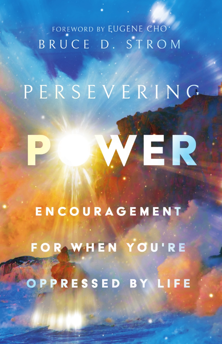 298646 Persevering Power Book