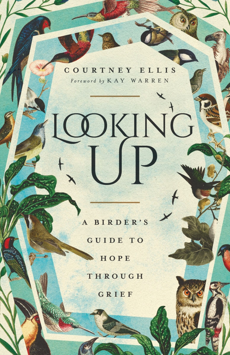 388756 Looking Up Book by Ellis Courtney