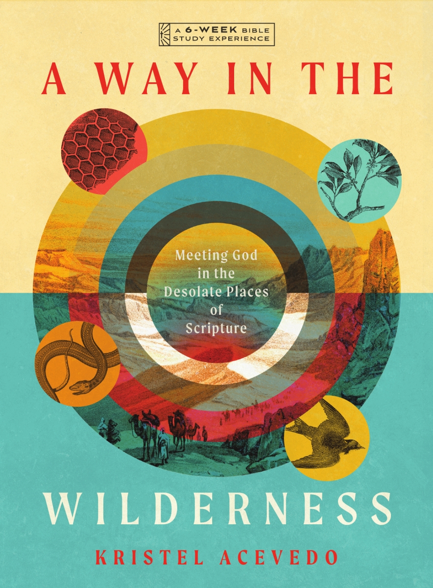 359000 A Way in The Wilderness Book