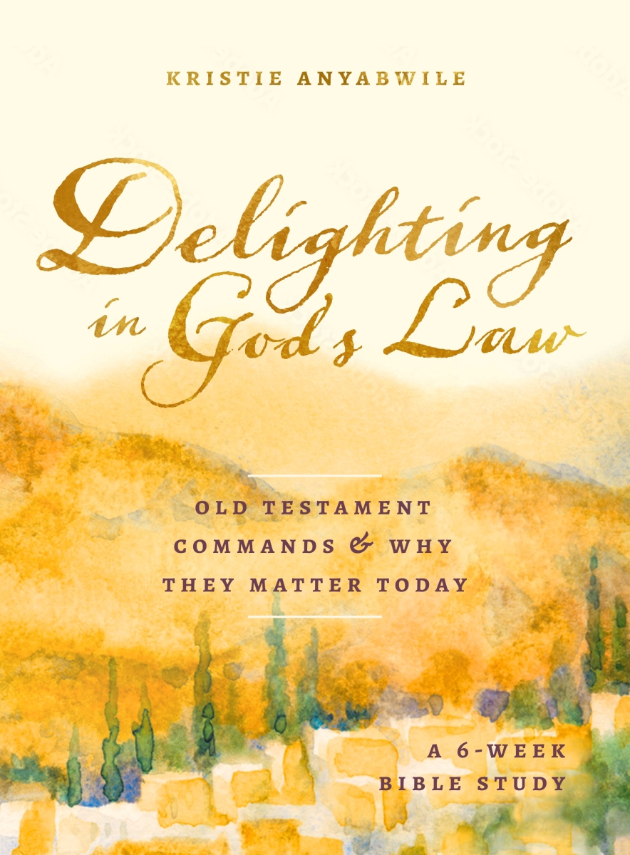 381229 Delighting in Gods Law Book