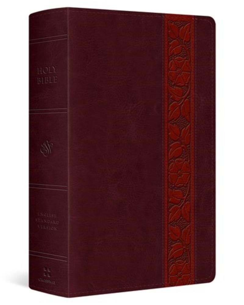 311576 ESV Large Print Personal Size Bible - Mahogany Trellis TruTone