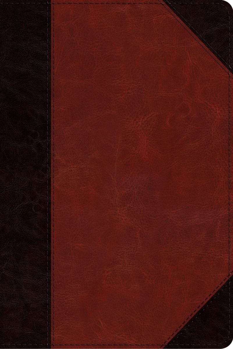 396260 ESV Study Bible & Personal Size - Brown & Cordovan Portfolio Design TruTone