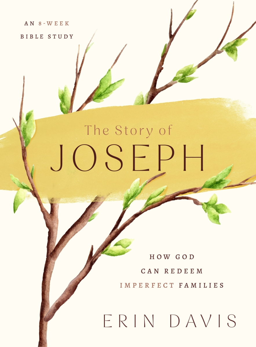 368125 The Story of Joseph Book