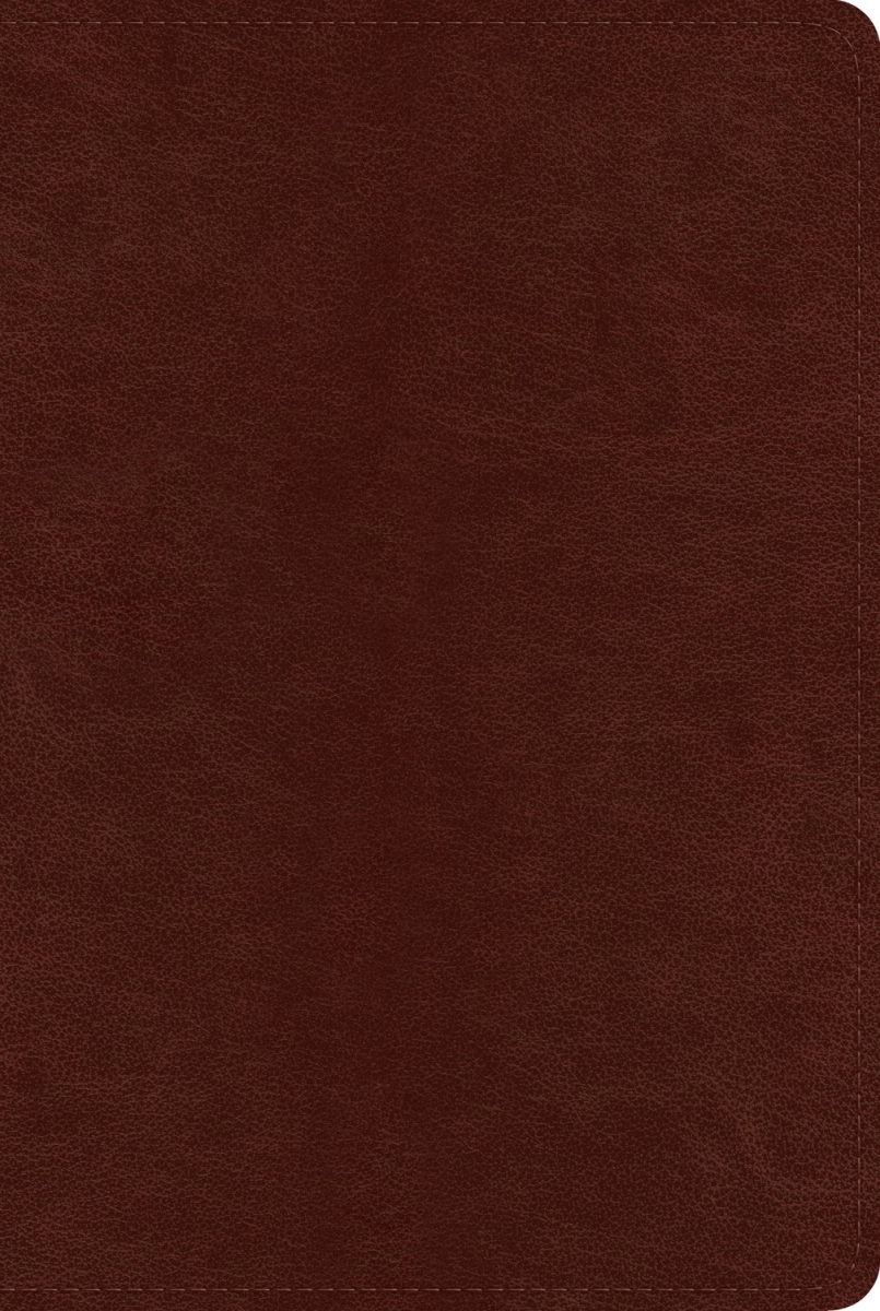 409104 ESV Systematic Theology Study Bible - Chestnut TruTone