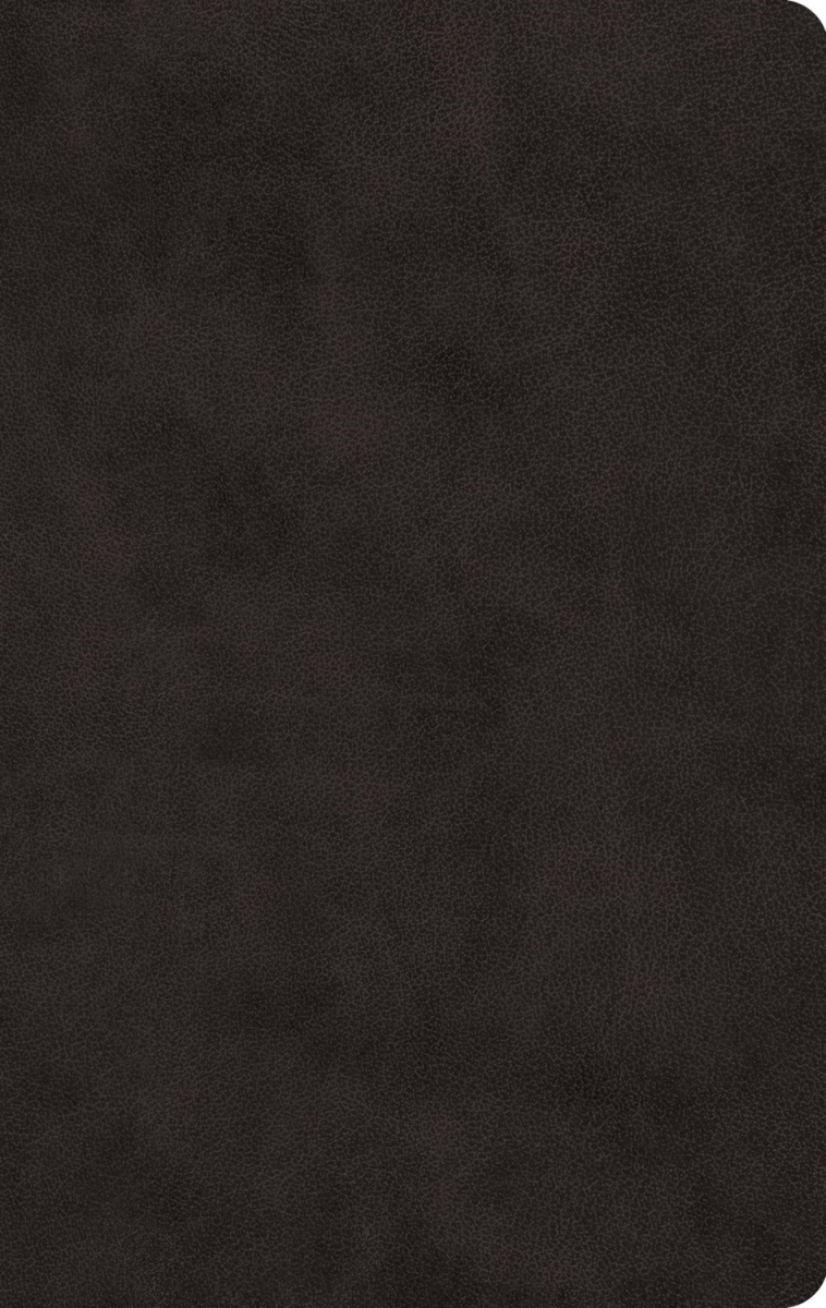 732250 ESV Large Print Value Thinline Bible - Black TruTone, Easy-Read Edition