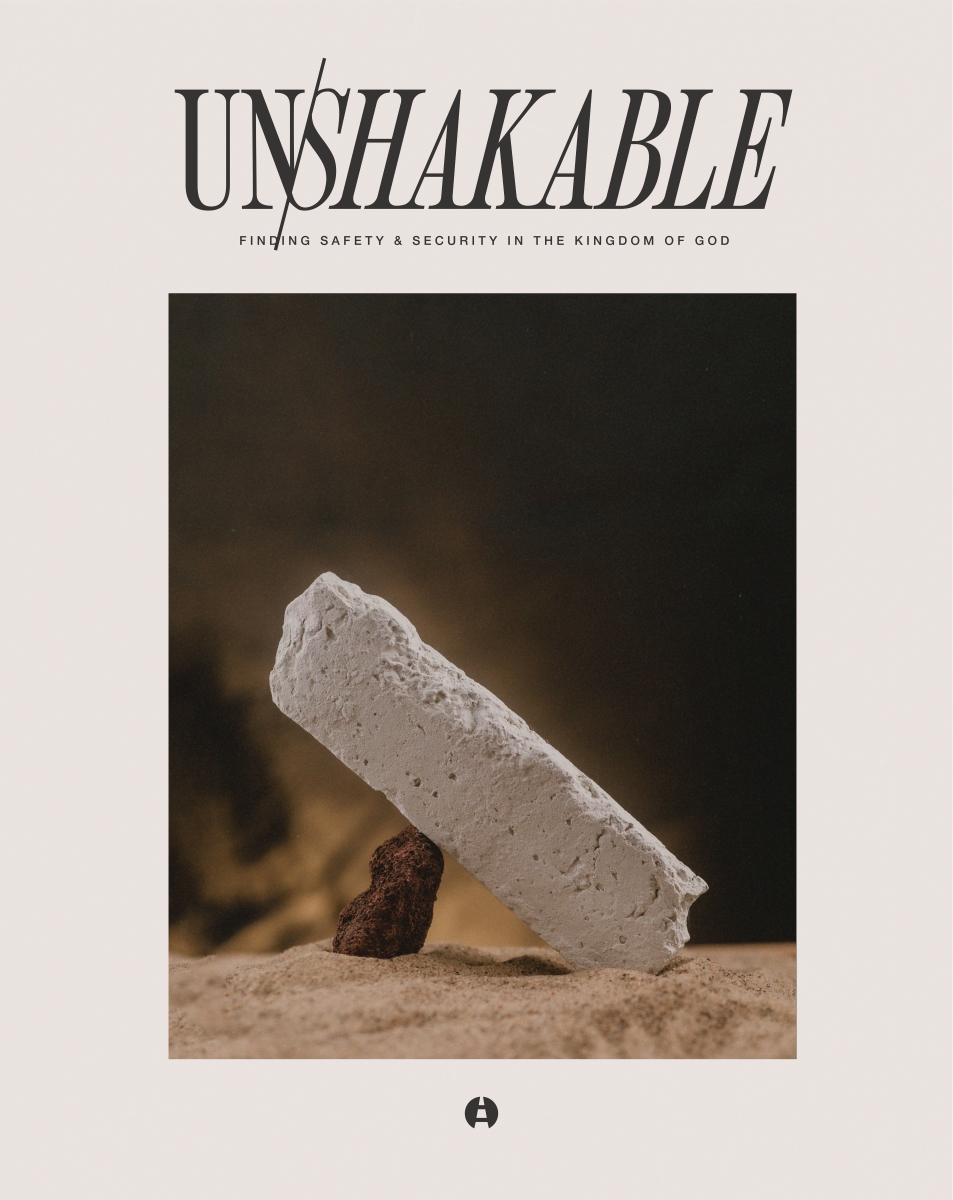 313239 Unshakable Book - Trade Paper