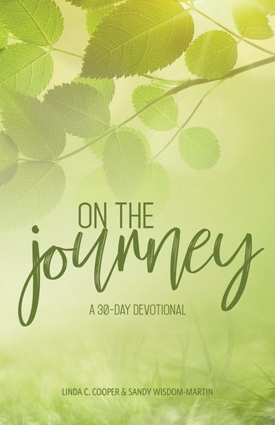 Hope Publishers 159970 On The Journey Book