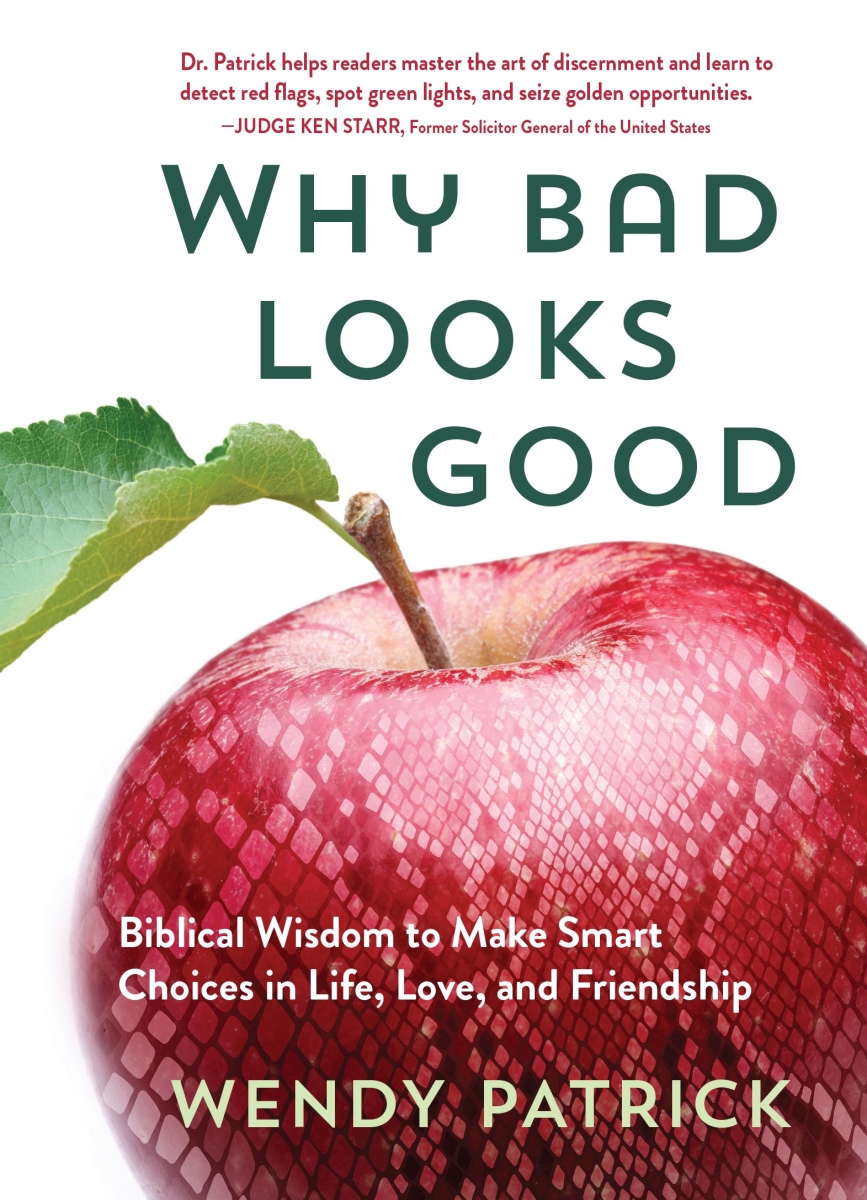 Broadstreet Publishing Group 204993 Why Bad Looks Good Book