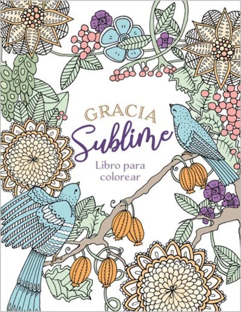 Broadstreet Publishing Group 233933 Gracia Sublime Libro Para Colorear - Amazing Grace Coloring Book