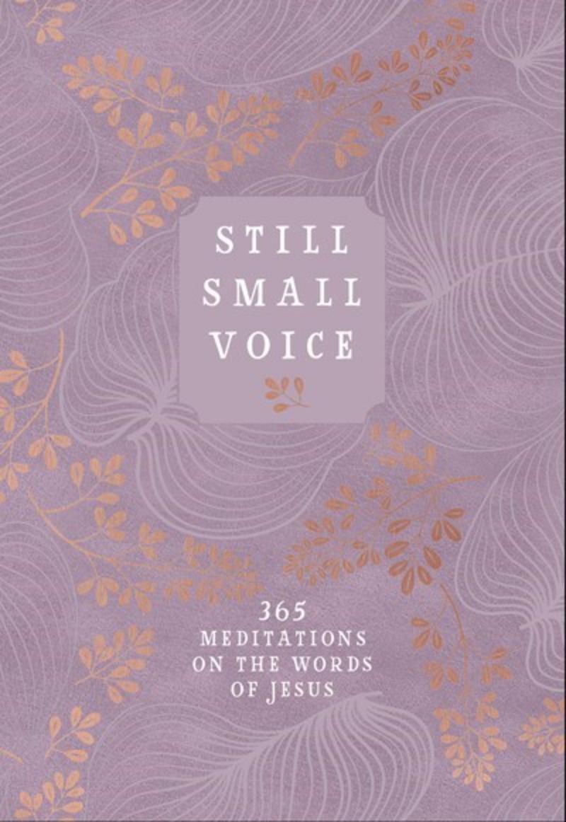 Broadstreet Publishing Group 234129 Still Small Voice Book