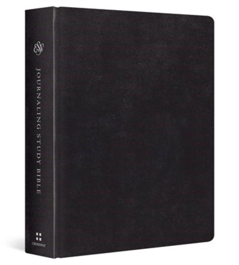 311572 ESV Journaling Study Bible - Black TruTone