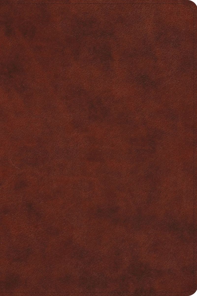 379649 ESV Gospel Transformation Study Bible - Chestnut TruTone