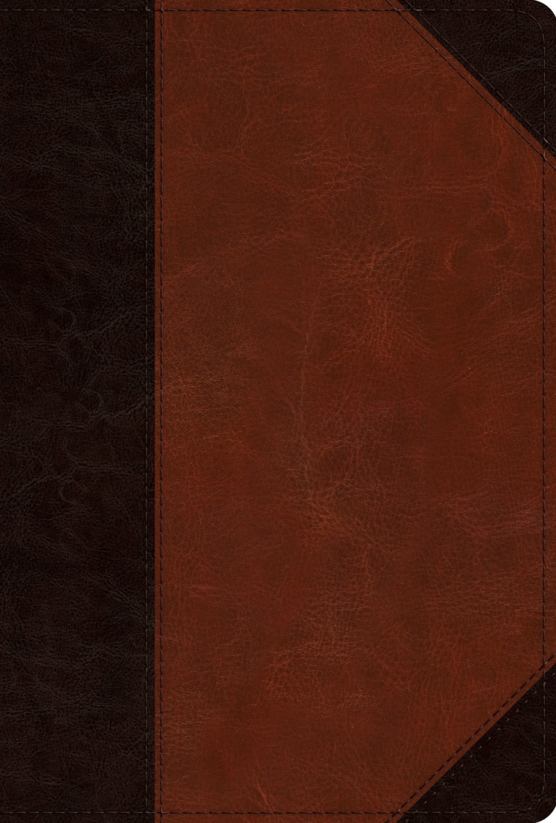 396255 ESV Mens Study Bible - Brown & Cordovan Portfolio Design Trutone