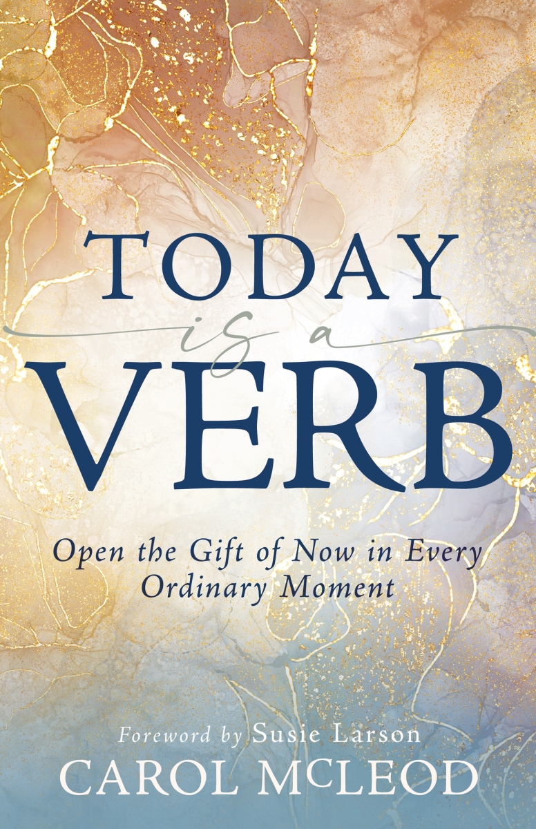 360204 Today Is A Verb Book