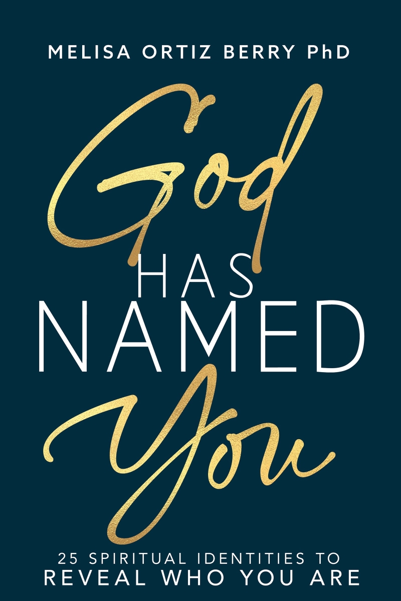 692332 God Has Named You Book