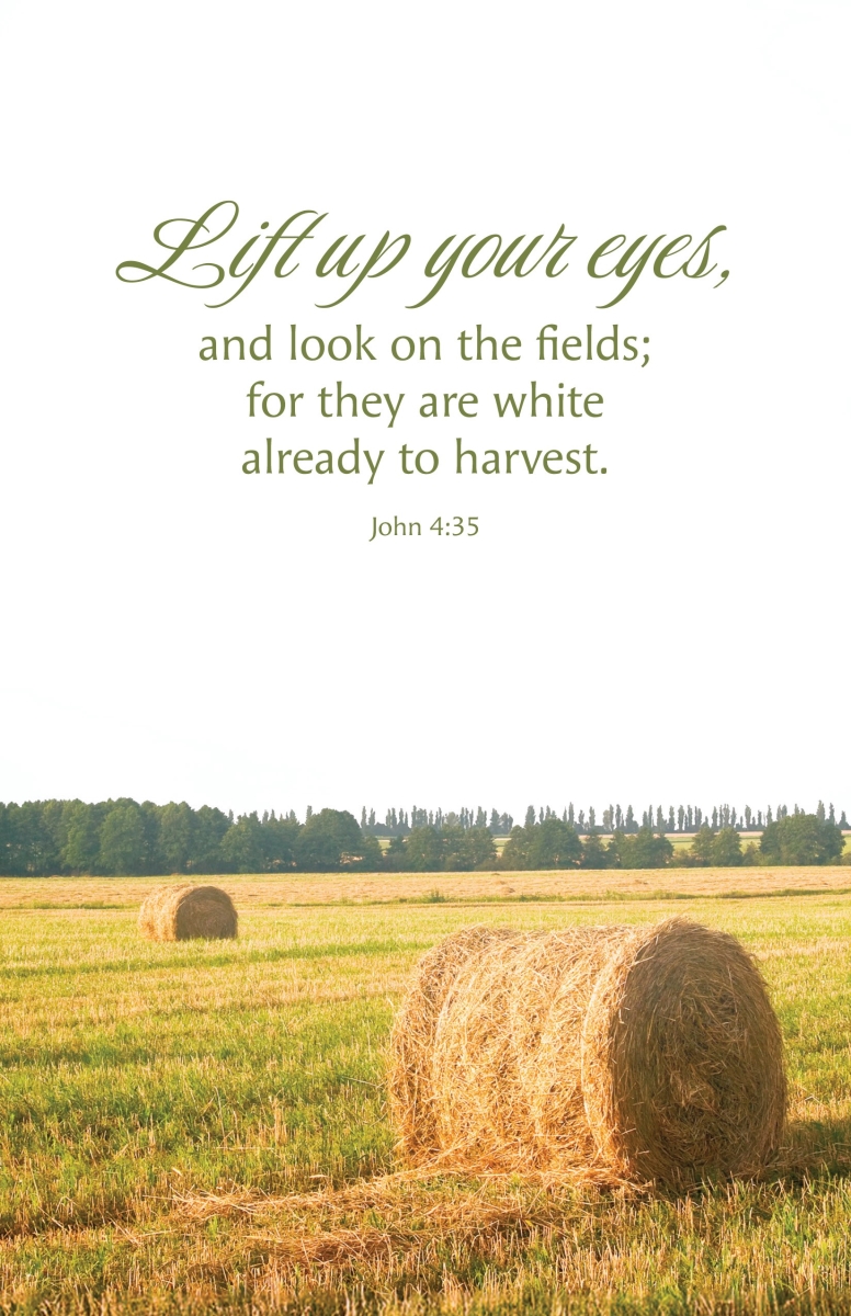 463862 Lift Up Your Eyes & Look on the Fields Church Bulletin - Pack of 100