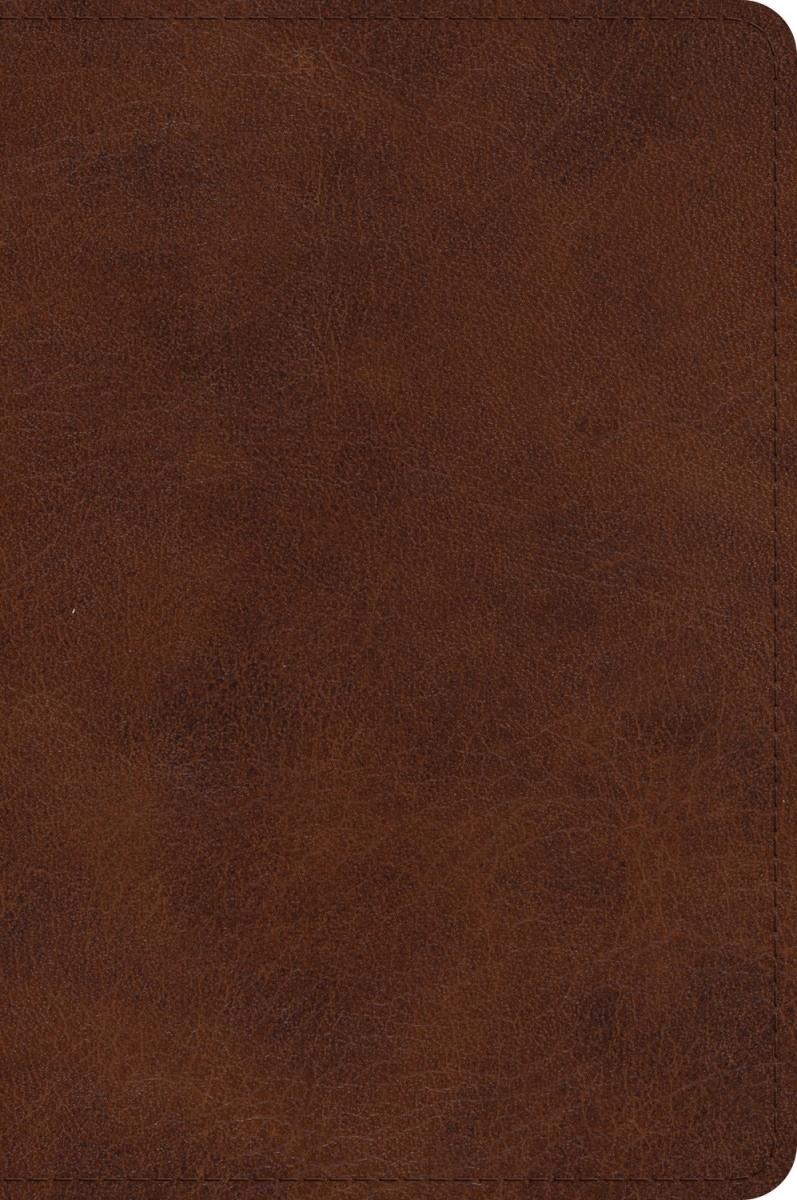 711695 ESV Large Print Bible - Deep Brown Trutone
