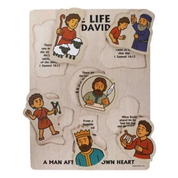 799249 Life of David Puzzle for Age 2 Plus Years
