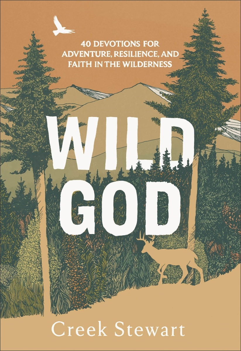 Baker Publishing Group & Baker Books 722110 Wild God Book