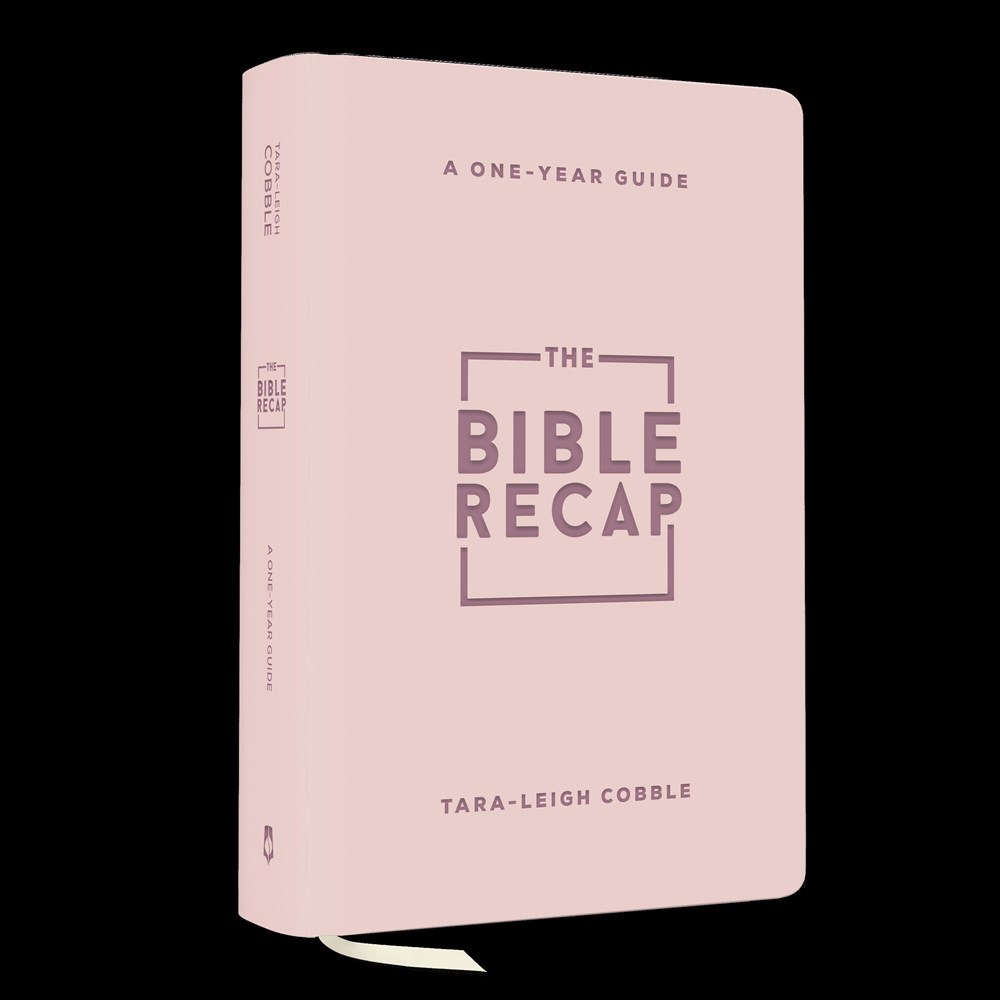 722053 The Bible Recap & Personal Size - Pink Imitation Leather Book